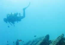 Festival Maravilha “é no Mar” | ecoRoute promove valorização do património cultural e natural subaquático no Faial