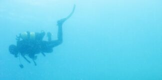 Festival Maravilha “é no Mar” | ecoRoute promove valorização do património cultural e natural subaquático no Faial