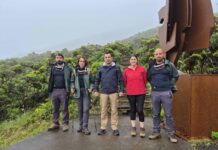 Trilho da Montanha do Pico