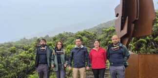 Trilho da Montanha do Pico