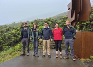 Trilho da Montanha do Pico