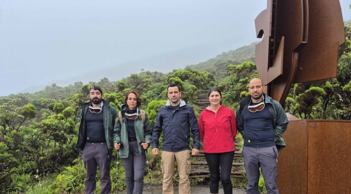 Trilho da Montanha do Pico