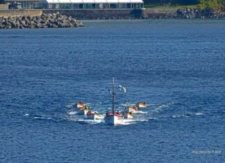 Regata de Vela do Comprido 2025 | Bote Senhora das Angústias chega em primeiro