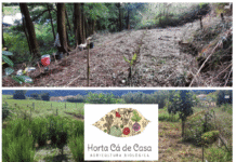 Agricultura Biológica | Horta Cá de Casa promove estilos de vida mais saudáveis
