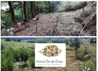 Agricultura Biológica | Horta Cá de Casa promove estilos de vida mais saudáveis