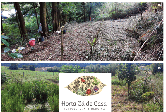 Agricultura Biológica | Horta Cá de Casa promove estilos de vida mais saudáveis