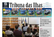 Capa | Edição n.º 1195, 14 de agosto de 2025
