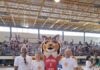 Bruno Amaro, Presidente da Associação de Basquetebol das Ilhas do Faial e Pico | “Queremos que a modalidade evolua”