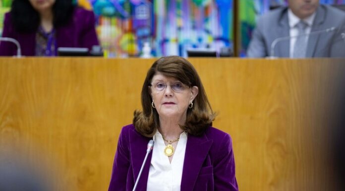 Berta Cabral apela a armadores para aumentarem número de navios que abastecem as ilhas