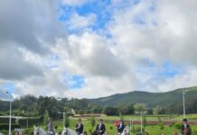 Equitação – Campeonato Açores Dressage | Faial conquista três títulos regionais