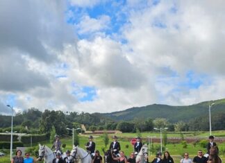 Equitação – Campeonato Açores Dressage | Faial conquista três títulos regionais