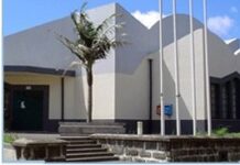 Transportes | Nova viatura elétrica ao serviço da Ribeirinha