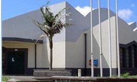 Transportes | Nova viatura elétrica ao serviço da Ribeirinha