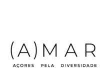 AMAR – Mas, afinal, o que são as pessoas trans?