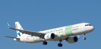 Transporte Aéreo de Passageiros | Grupo SATA fechou primeiro semestre com prejuízo de 44,2 milhões