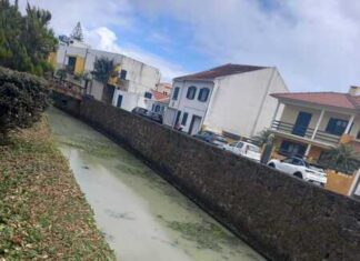 Ribeira da Conceição | Junta de Freguesia pede solução urgente