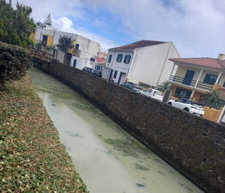 Ribeira da Conceição | Junta de Freguesia pede solução urgente
