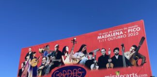 Festival Cordas