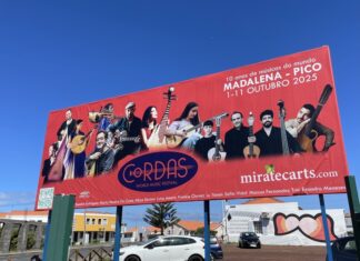 Festival Cordas