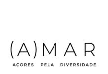 AMAR – “Nem feminista, nem machista, quero é a igualdade!”