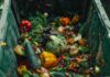 Perdas e Desperdício Alimentares