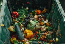 Perdas e Desperdício Alimentares