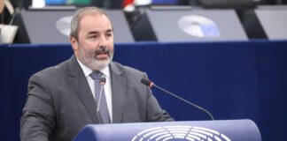 Paulo do Nascimento Cabral defende direito à maternidade e proteção na esfera digital