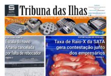 Capa | Edição n.º 1206, 31 de outubro de 2025