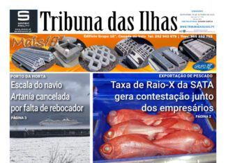 Capa | Edição n.º 1206, 31 de outubro de 2025