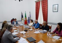 Novo executivo camarário | Maria Antónia Dutra é a nova vice-presidente da Câmara Municipal da Horta