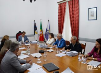 Novo executivo camarário | Maria Antónia Dutra é a nova vice-presidente da Câmara Municipal da Horta