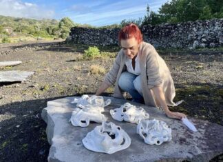 Guardiões de Cerâmica” de Marta Rézio encontram nova casa na MiratecArts Galeria Costa