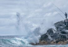 Rede de Áreas Marinhas Protegidas dos Açores