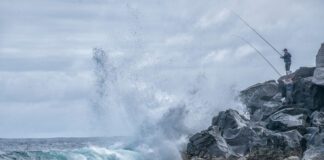 Rede de Áreas Marinhas Protegidas dos Açores