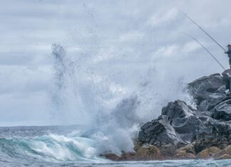 Rede de Áreas Marinhas Protegidas dos Açores