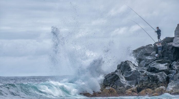 Rede de Áreas Marinhas Protegidas dos Açores