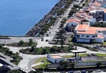 Rotunda junto ao Terminal Marítimo de Passageiros | Cidadão denuncia falta de visibilidade na passadeira em frente ao Tribunal da Horta
