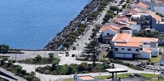 Rotunda junto ao Terminal Marítimo de Passageiros | Cidadão denuncia falta de visibilidade na passadeira em frente ao Tribunal da Horta