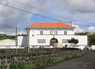 Cadeia de Apoio da Horta | Grupo Caminho e Vidas trabalha para a reintegração social dos reclusos