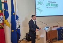 Programa LIFE | Governo Regional entende que instrumento não se pode extinguir