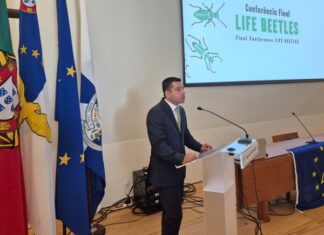 Programa LIFE | Governo Regional entende que instrumento não se pode extinguir