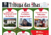 Capa | Especial de Natal, Edição n.º 1213, 19 de dezembro de 2025