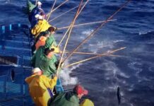 Rede de Áreas Marinhas Protegidas dos Açores | APASA critica chumbo da proposta para pesca de salto e vara