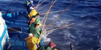 Rede de Áreas Marinhas Protegidas dos Açores | APASA critica chumbo da proposta para pesca de salto e vara