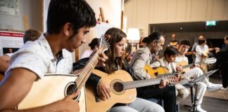 Festival Cordas