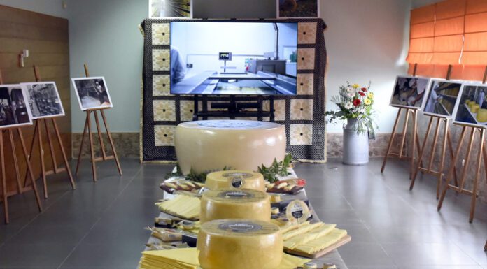 Queijo de São Jorge