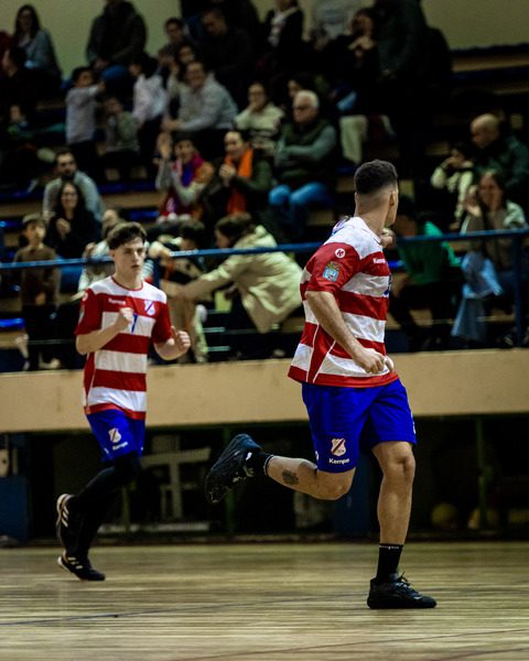 andebol