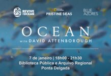 Blue Azores