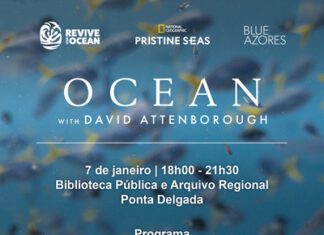 Blue Azores