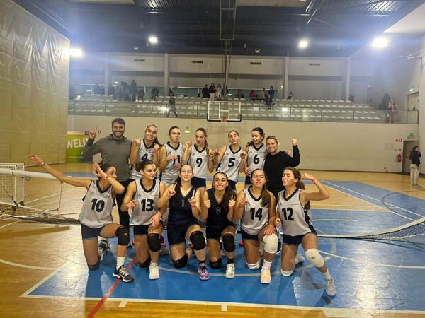 voleibol